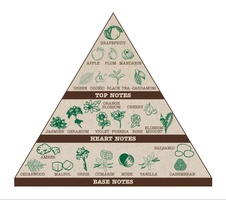 pyramida vůní NATAVA Vonná sójová svíčka - Černý čaj a kardamom