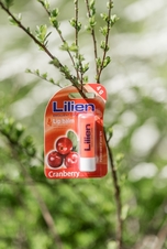 Lilien balzám na rty - Brusinka