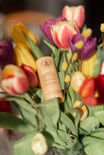 NATAVA Tuhý deodorant - Alpská svěžest