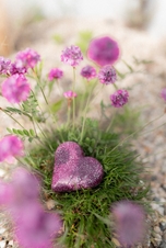 NATAVA Tuhý šampon - Ylang-Ylang - srdce