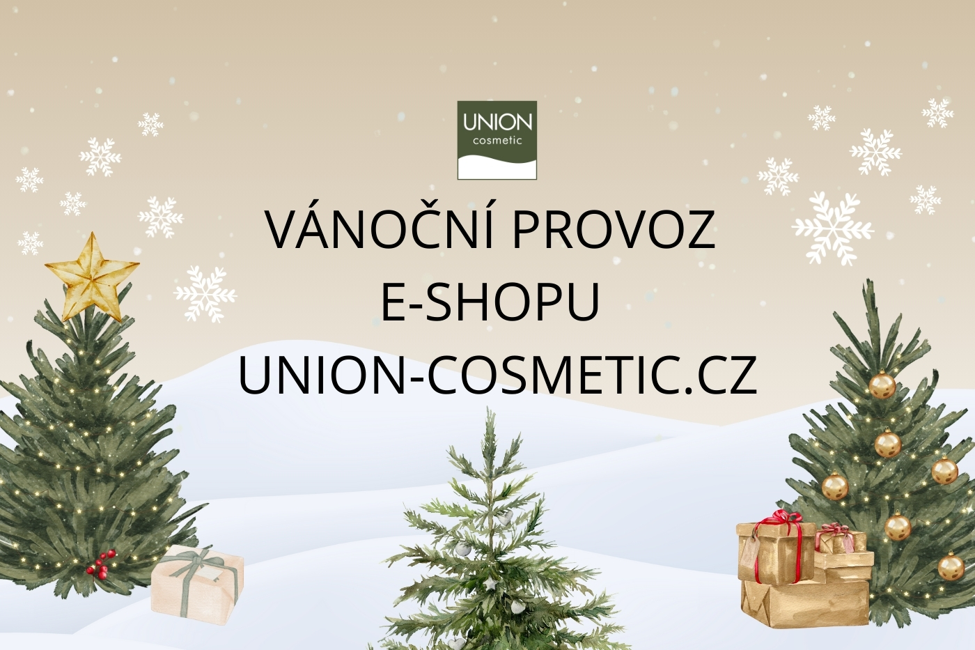 Jak zpracujeme a doručíme Vaše objednávky v průběhu vánočních svátků