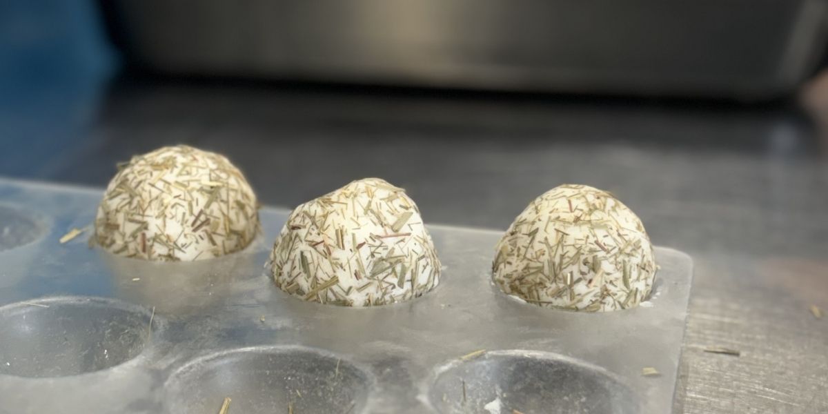 Den otevřených dveří v UNION Cosmetic: B2B partneři zažili manufakturní výrobu na vlastní kůži